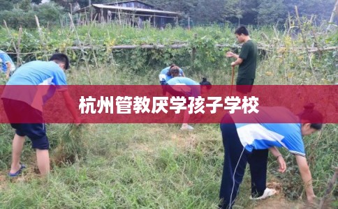 杭州管教厌学孩子学校