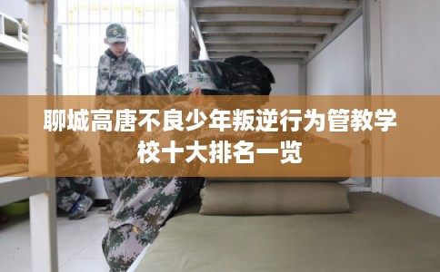 聊城高唐不良少年叛逆行为管教学校十大排名一览