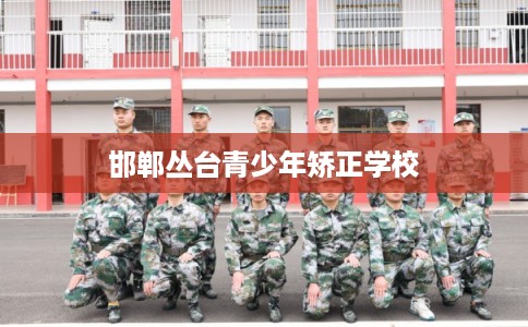 邯郸丛台青少年矫正学校