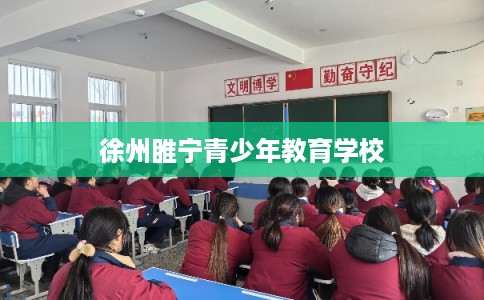 徐州睢宁青少年教育学校