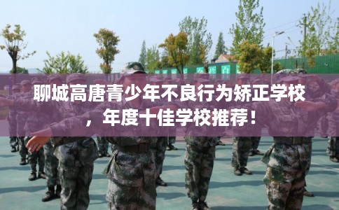 聊城高唐青少年不良行为矫正学校，年度十佳学校推荐！