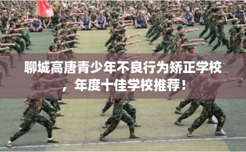 聊城高唐青少年不良行为矫正学校，年度十佳学校推荐！