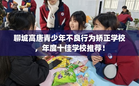 聊城高唐青少年不良行为矫正学校，年度十佳学校推荐！