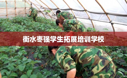 衡水枣强学生拓展培训学校