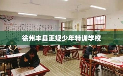 徐州丰县正规少年特训学校