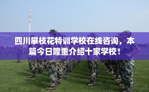 四川攀枝花特训学校在线咨询，本篇今日隆重介绍十家学校！