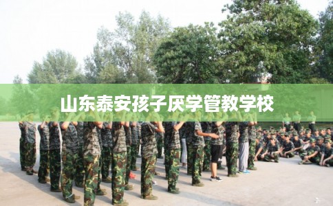 山东泰安孩子厌学管教学校