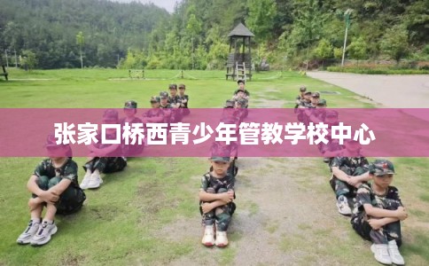 张家口桥西青少年管教学校中心