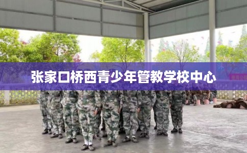 张家口桥西青少年管教学校中心