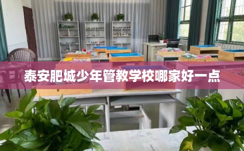 泰安肥城少年管教学校哪家好一点