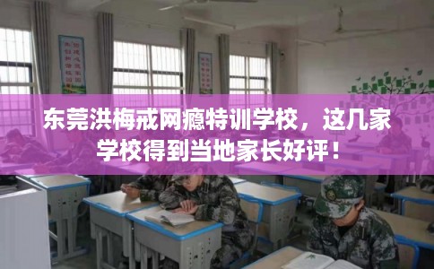 东莞洪梅戒网瘾特训学校，这几家学校得到当地家长好评！