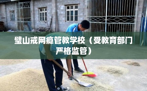 璧山戒网瘾管教学校（受教育部门严格监管）