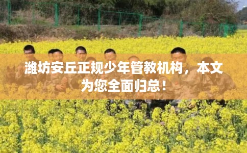 潍坊安丘正规少年管教机构，本文为您全面归总！