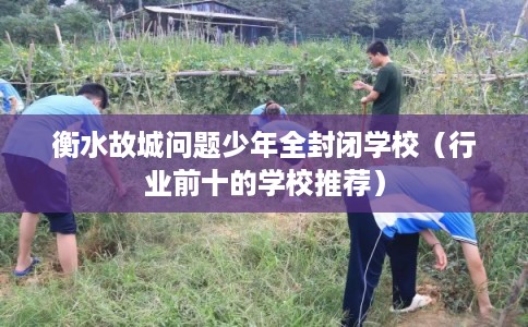 衡水故城问题少年全封闭学校（行业前十的学校推荐）