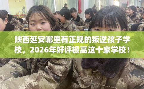 陕西延安哪里有正规的叛逆孩子学校，2026年好评极高这十家学校！