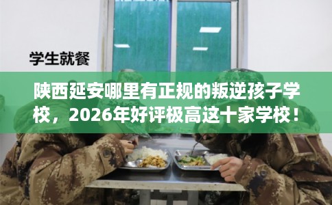 陕西延安哪里有正规的叛逆孩子学校，2026年好评极高这十家学校！