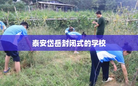 泰安岱岳封闭式的学校