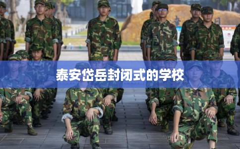 泰安岱岳封闭式的学校