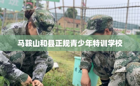 马鞍山和县正规青少年特训学校