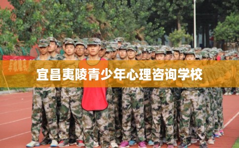 宜昌夷陵青少年心理咨询学校