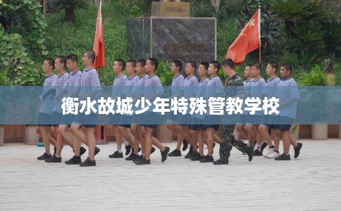 衡水故城少年特殊管教学校