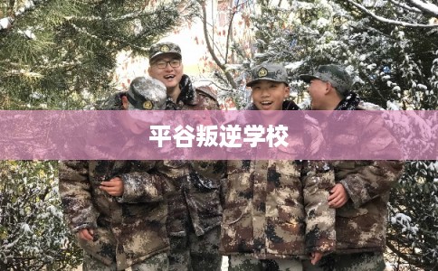 平谷叛逆学校