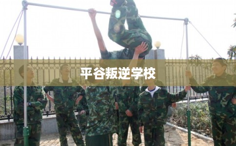 平谷叛逆学校