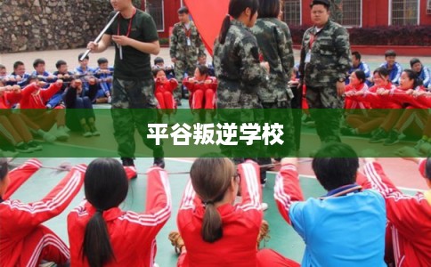 平谷叛逆学校