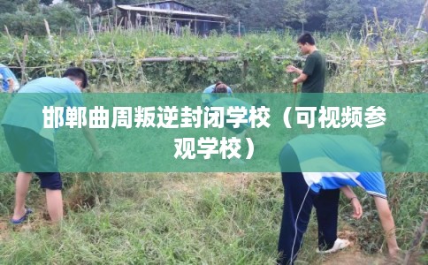邯郸曲周叛逆封闭学校（可视频参观学校）