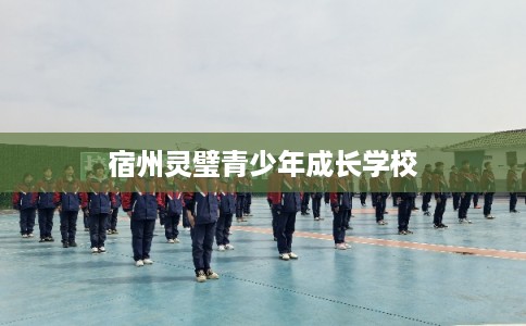 宿州灵璧青少年成长学校