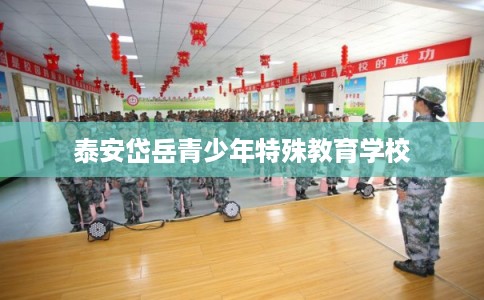 泰安岱岳青少年特殊教育学校