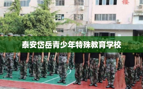 泰安岱岳青少年特殊教育学校