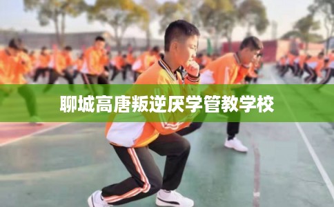 聊城高唐叛逆厌学管教学校
