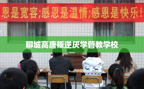 聊城高唐叛逆厌学管教学校