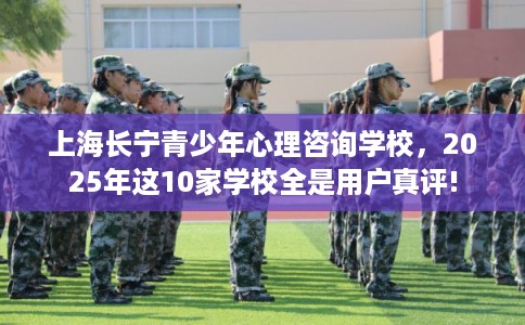 上海长宁青少年心理咨询学校，2025年这10家学校全是用户真评!