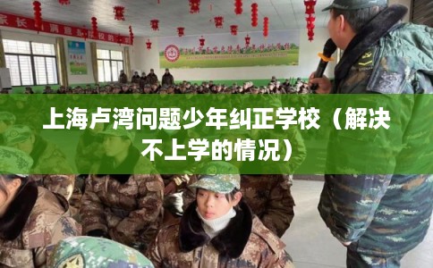 上海卢湾问题少年纠正学校（解决不上学的情况）