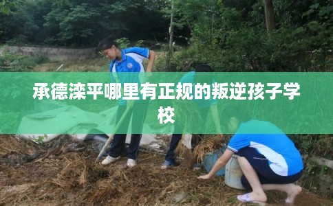 承德滦平哪里有正规的叛逆孩子学校