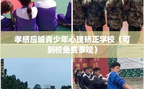 孝感应城青少年心理矫正学校（可到校免费参观）