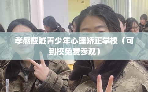 孝感应城青少年心理矫正学校（可到校免费参观）