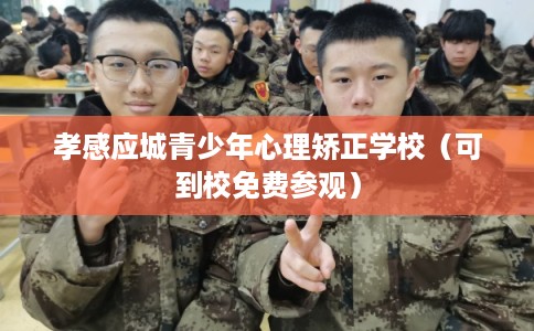 孝感应城青少年心理矫正学校（可到校免费参观）