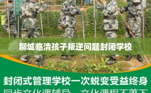 聊城临清孩子叛逆问题封闭学校