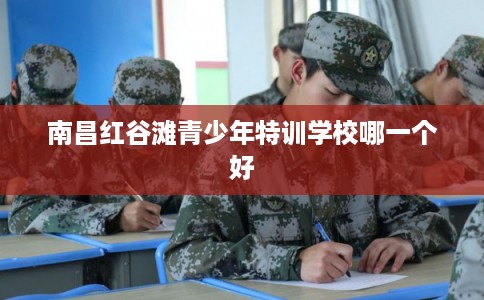 南昌红谷滩青少年特训学校哪一个好