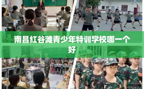 南昌红谷滩青少年特训学校哪一个好
