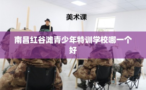 南昌红谷滩青少年特训学校哪一个好