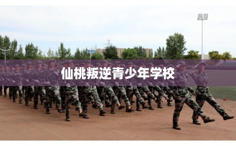 仙桃叛逆青少年学校
