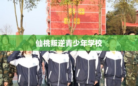 仙桃叛逆青少年学校