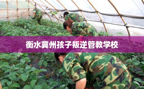 衡水冀州孩子叛逆管教学校