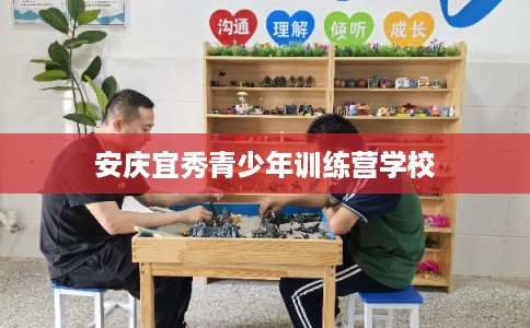 安庆宜秀青少年训练营学校