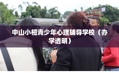 中山小榄青少年心理辅导学校（办学透明）