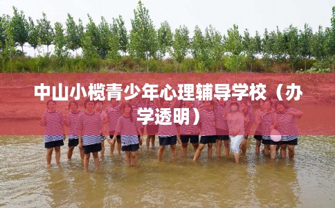中山小榄青少年心理辅导学校（办学透明）